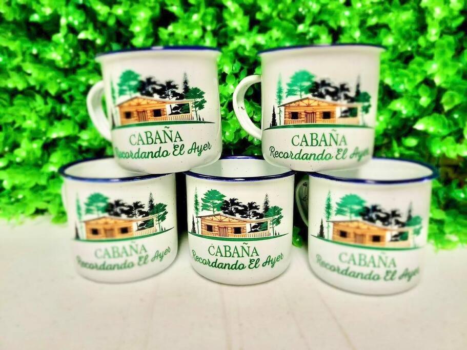 Cabana Recordando El Ayer San Lorenzo Екстер'єр фото